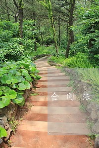 合同法 劳动合同 合同法 劳动合同